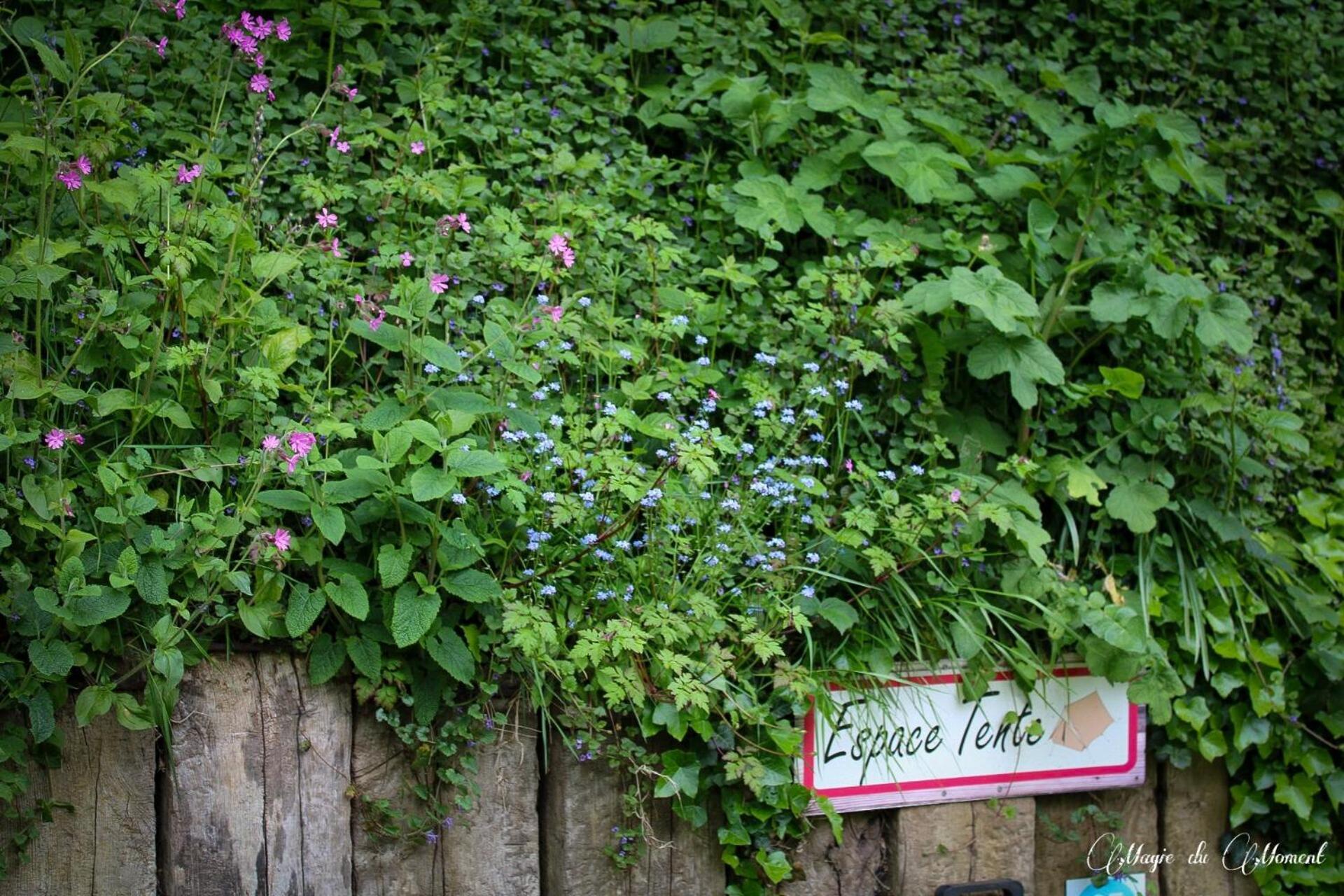 Camping La Sabliere Saint-Jans-Cappel Extérieur photo