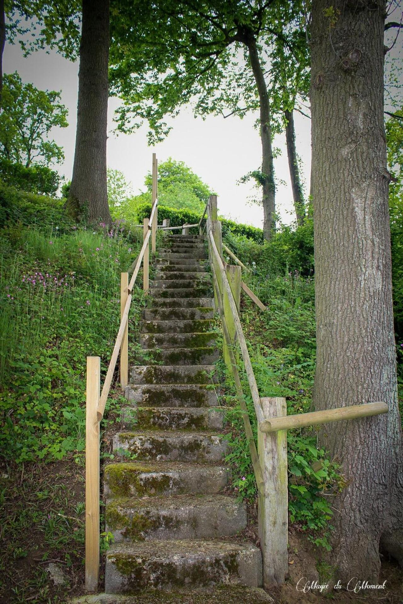 Camping La Sabliere Saint-Jans-Cappel Extérieur photo