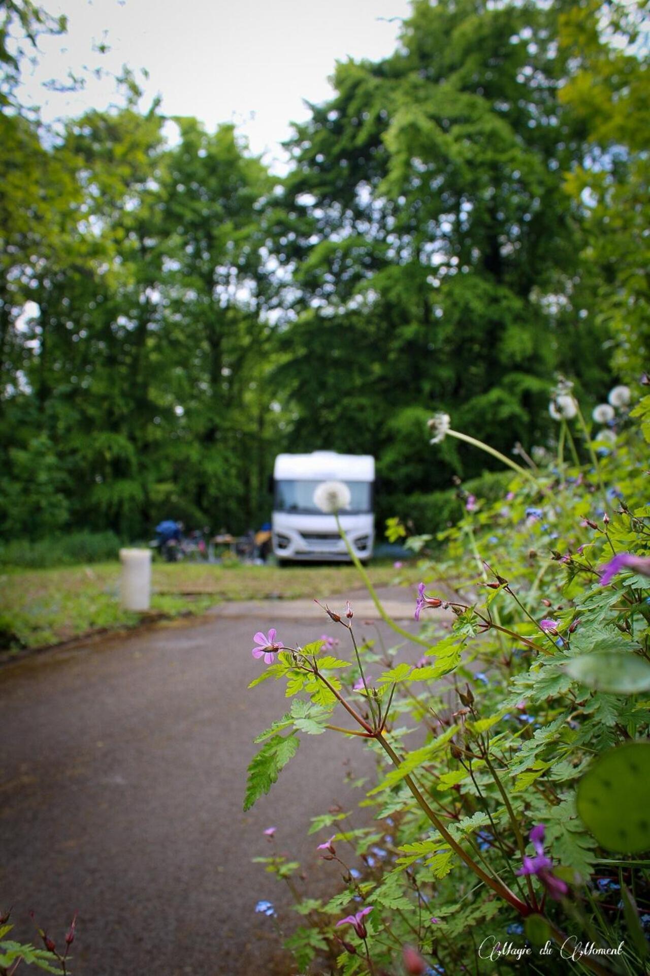 Camping La Sabliere Saint-Jans-Cappel Extérieur photo